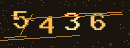 보안숫자